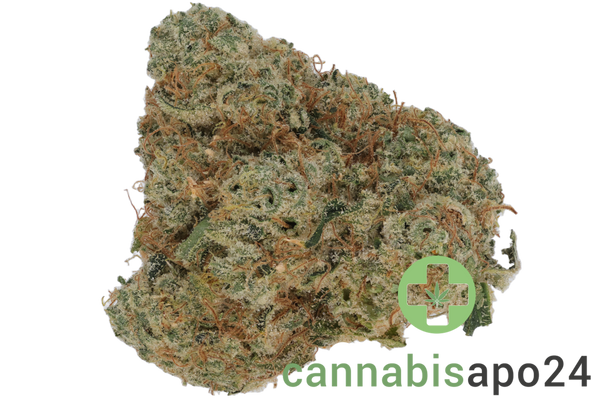 420 Evolution 30/1 CA CBB Cherry Bang Bang