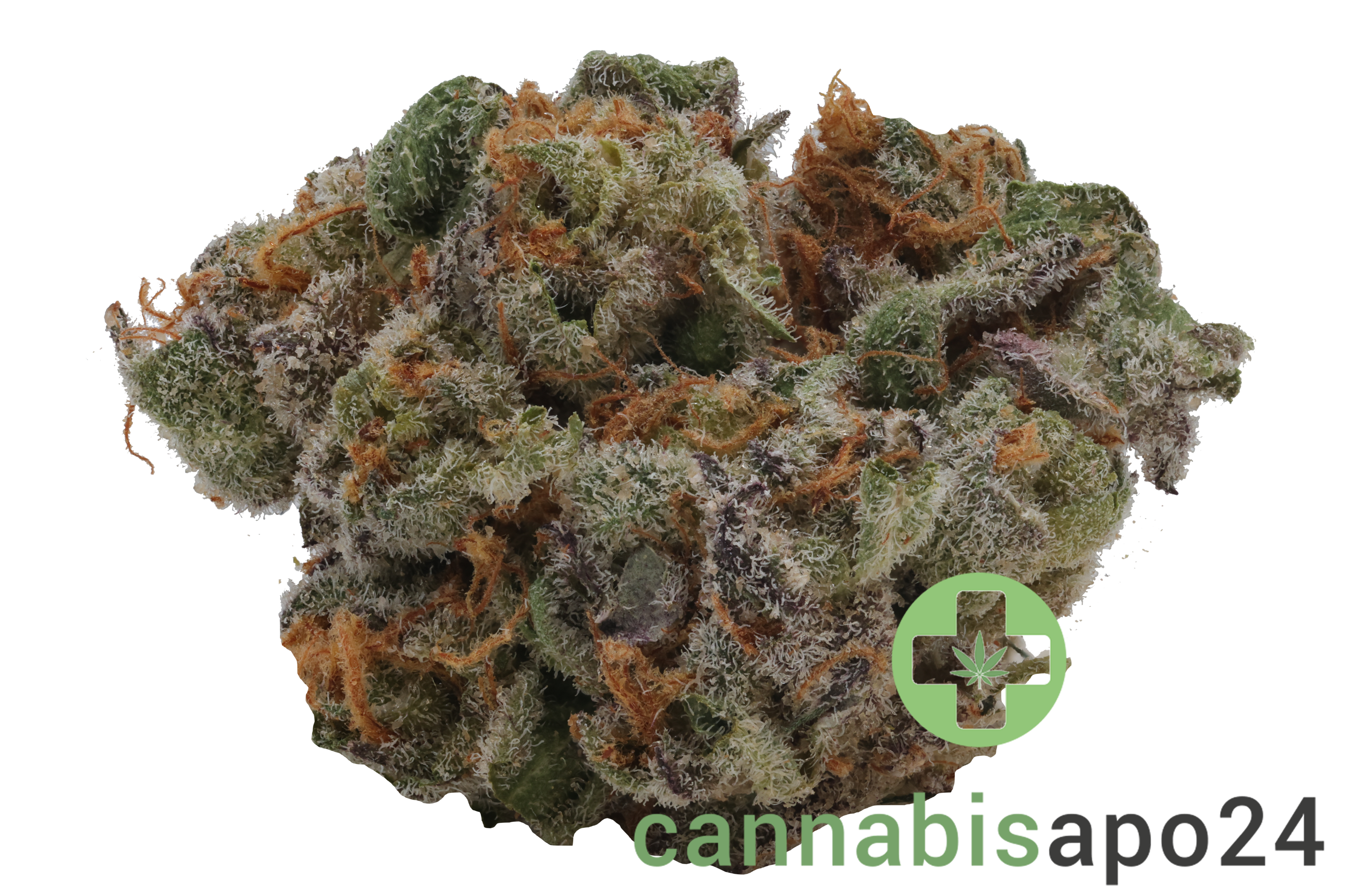 420 Compound 25/1 CA BER Berlin Berries