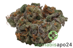 420 Compound 25/1 CA BER Berlin Berries