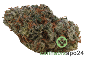 420 Compound 27/1 PT TGY - Tigerz Eye