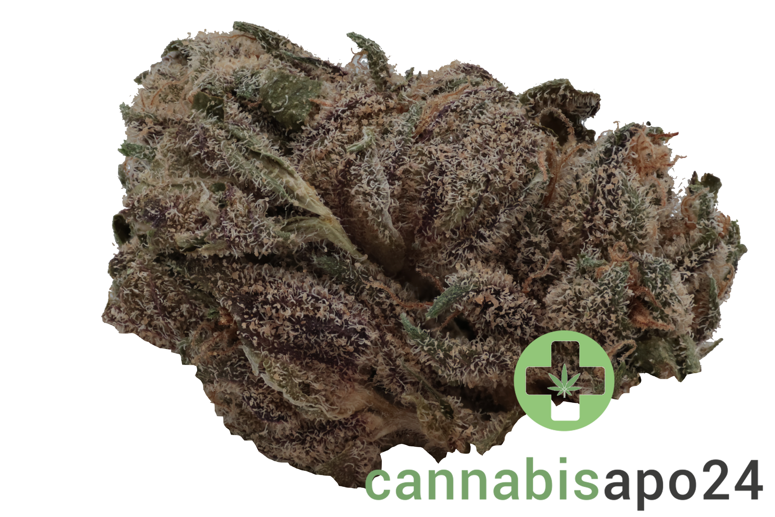 420 Evolution 16/1 CA LCG Lemon Cherry Gelato