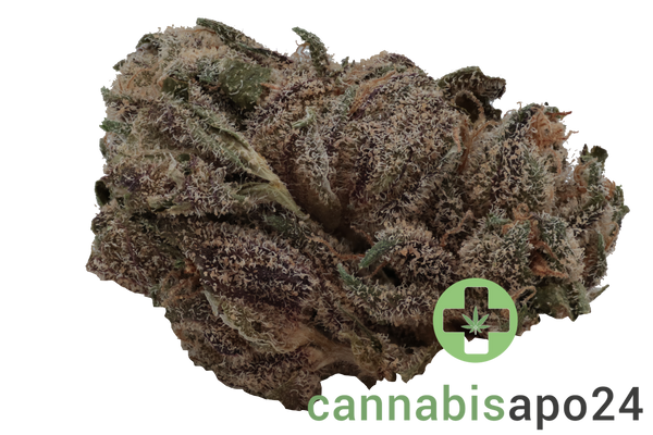 420 Evolution 16/1 CA LCG Lemon Cherry Gelato