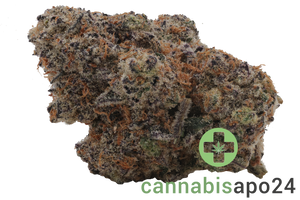 420 Evolution 25/1 CA CAP Cap Junky
