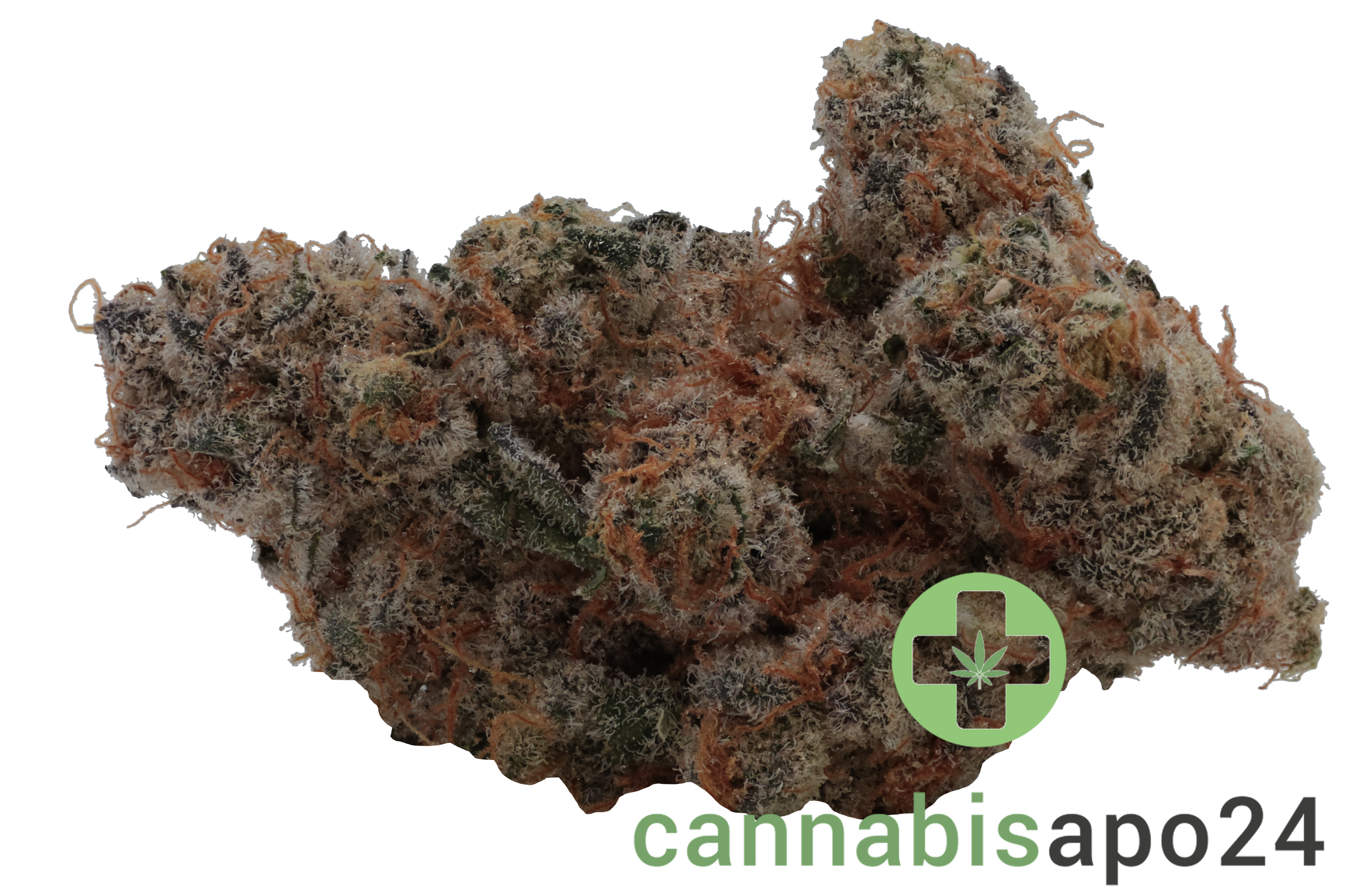 420 Evolution 25/1 CA MSP Masterpiece