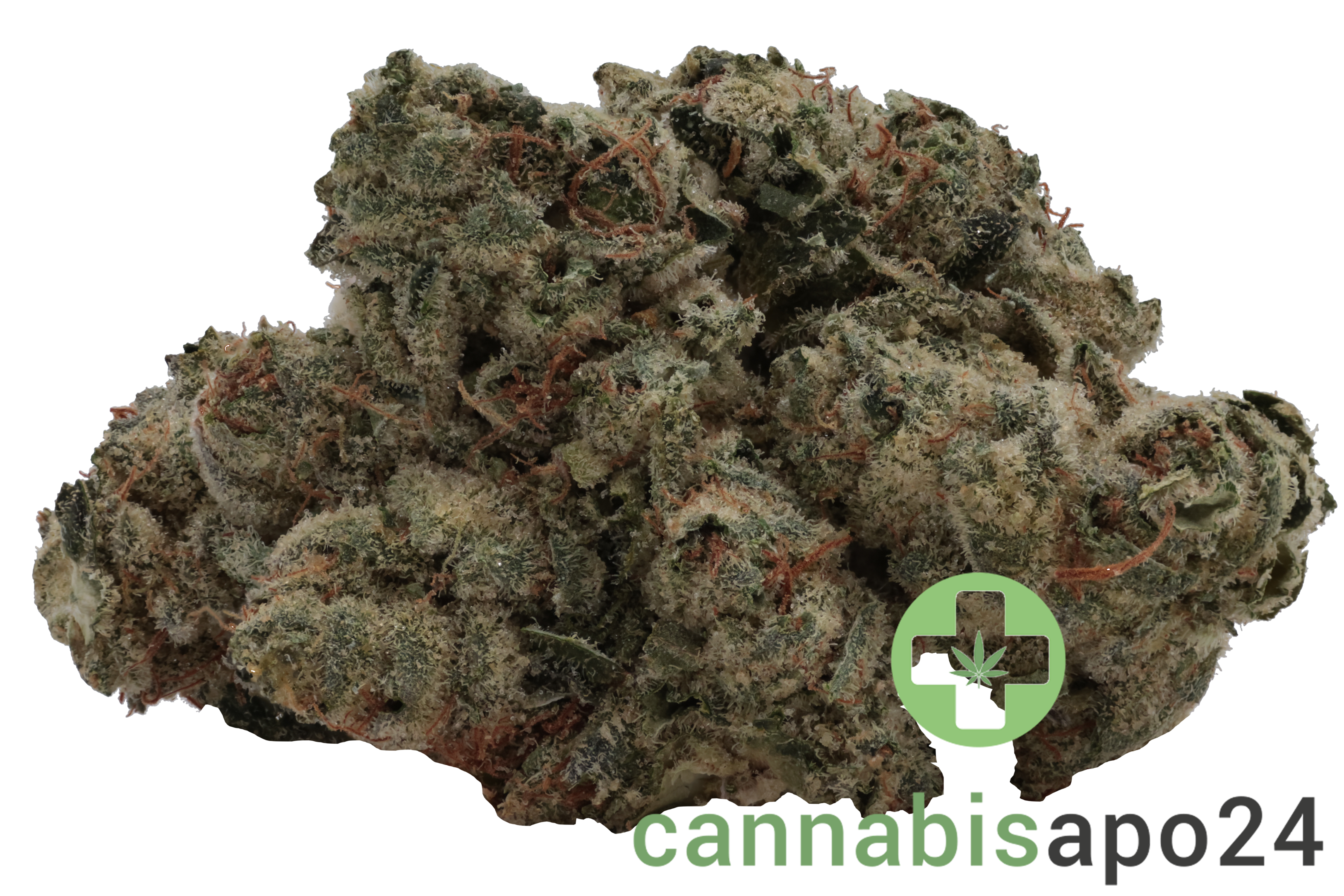 420 Evolution 25/1 CA STR - Star Struck