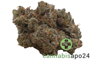 420 Evolution 25/1 PT LPC London Pound Cake