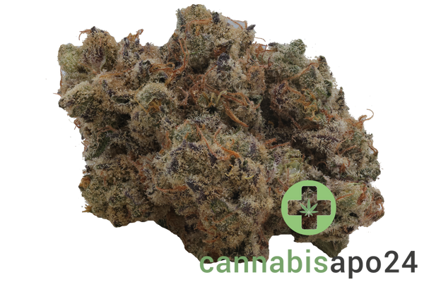 420 Evolution 25/1 PT LPC London Pound Cake