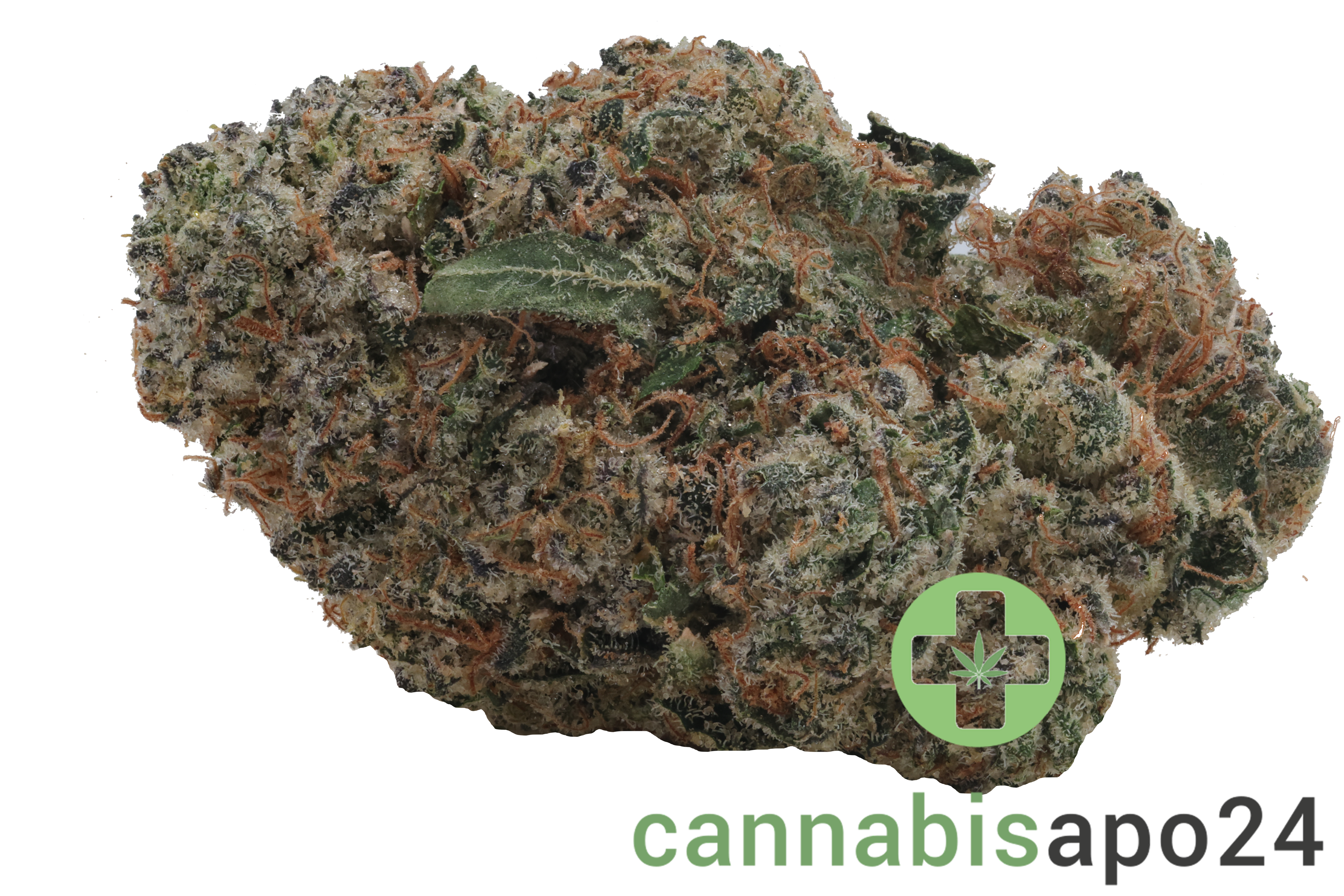 420 Evolution 27/1 CA CBB Cherry Bang Bang