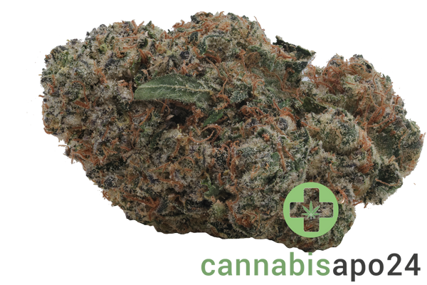 420 Evolution 27/1 CA CBB Cherry Bang Bang