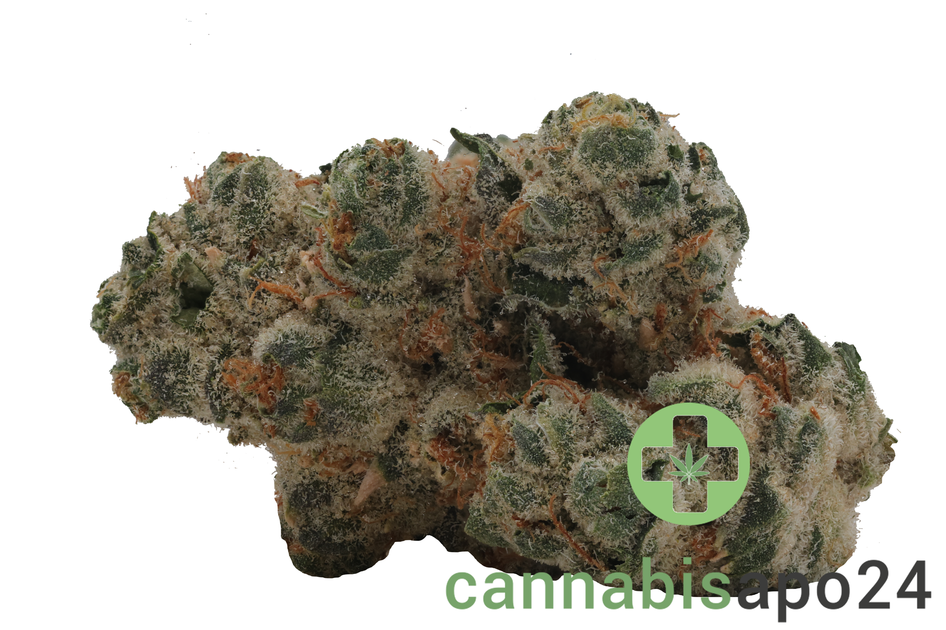 420 Evolution 27/1 CA PCH Peach Chementine