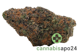 420 Evolution 27/1 CA PEX Pineapple Fruz