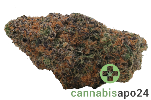 420 Evolution 27/1 CA PEX Pineapple Fruz