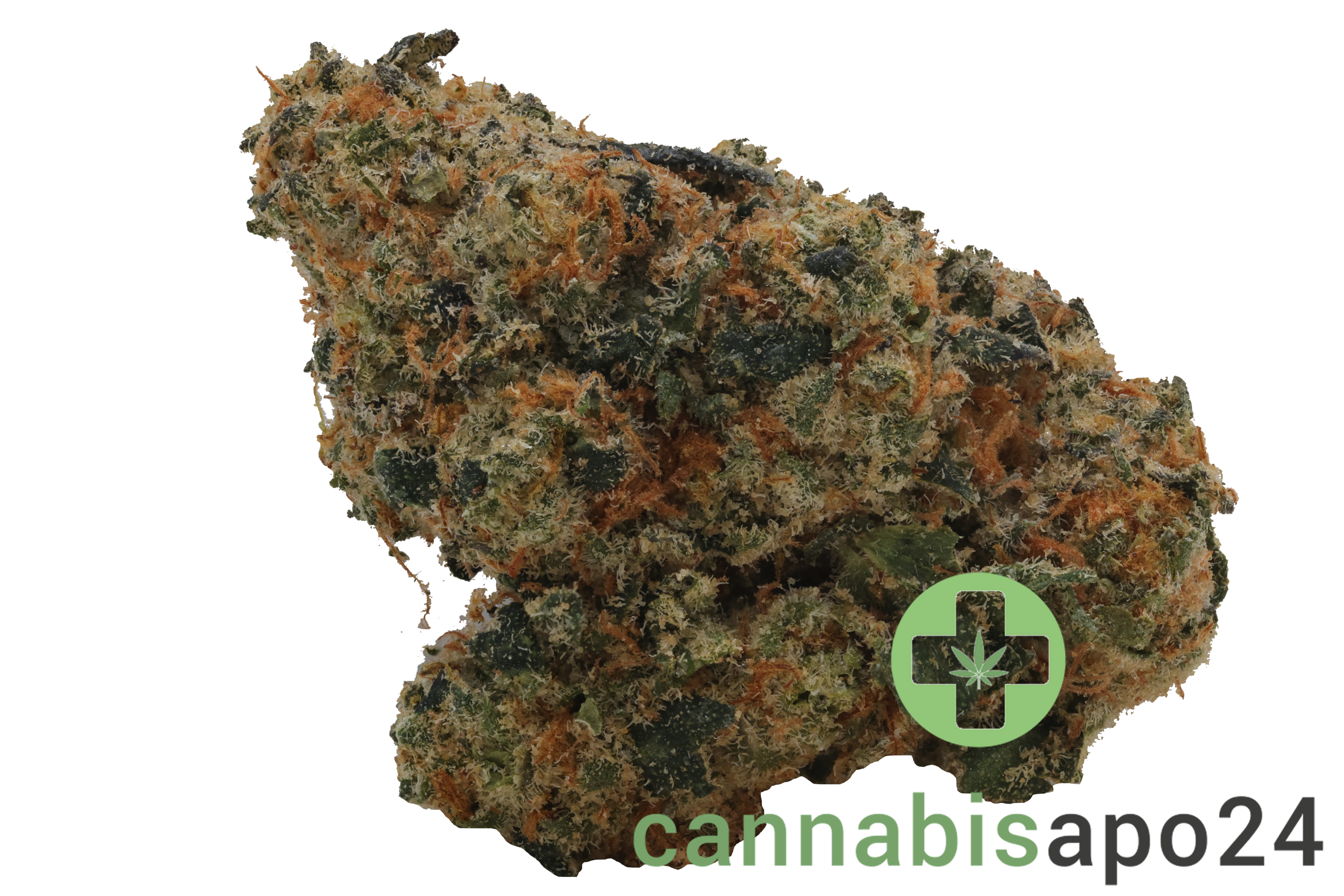 420 Evolution 27/1 CA RZY Red Rozay