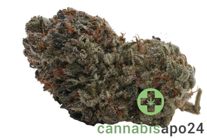 420 Evolution 30/1 CA FFC Frosted Fruit Cake