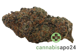 420 Evolution 30/1 CA PEX Pineapple Fruz
