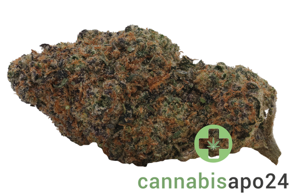 420 Evolution 30/1 CA PEX Pineapple Fruz