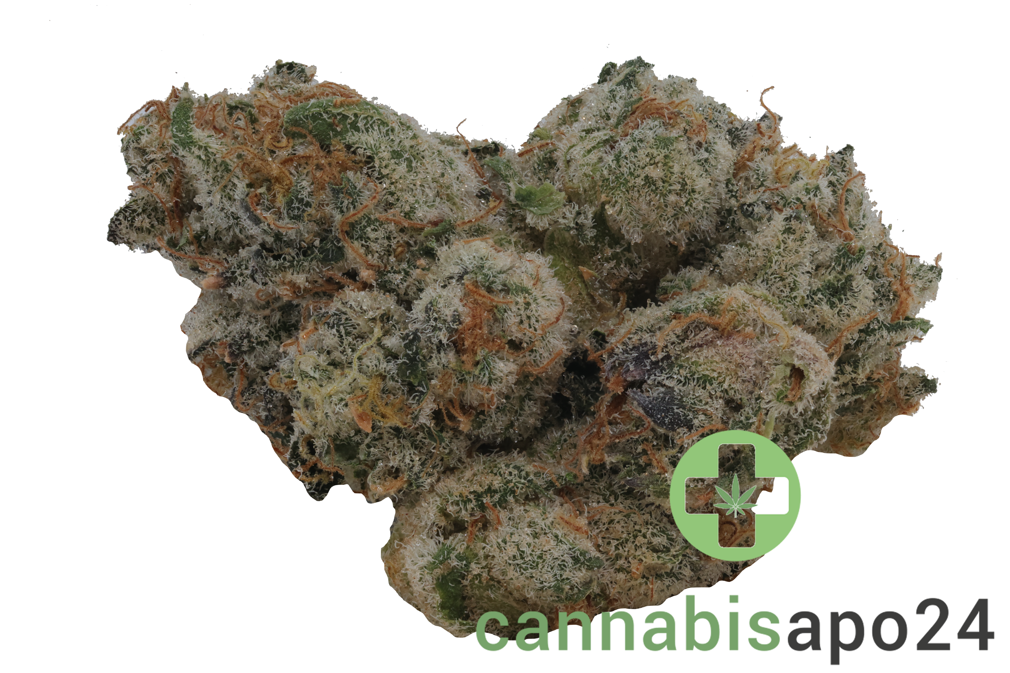 420 Evolution 30/1 CA PLA Platinum Kush