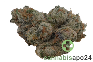 420 Evolution 30/1 CA PLA Platinum Kush