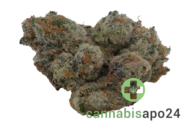 420 Evolution 30/1 CA PLA Platinum Kush