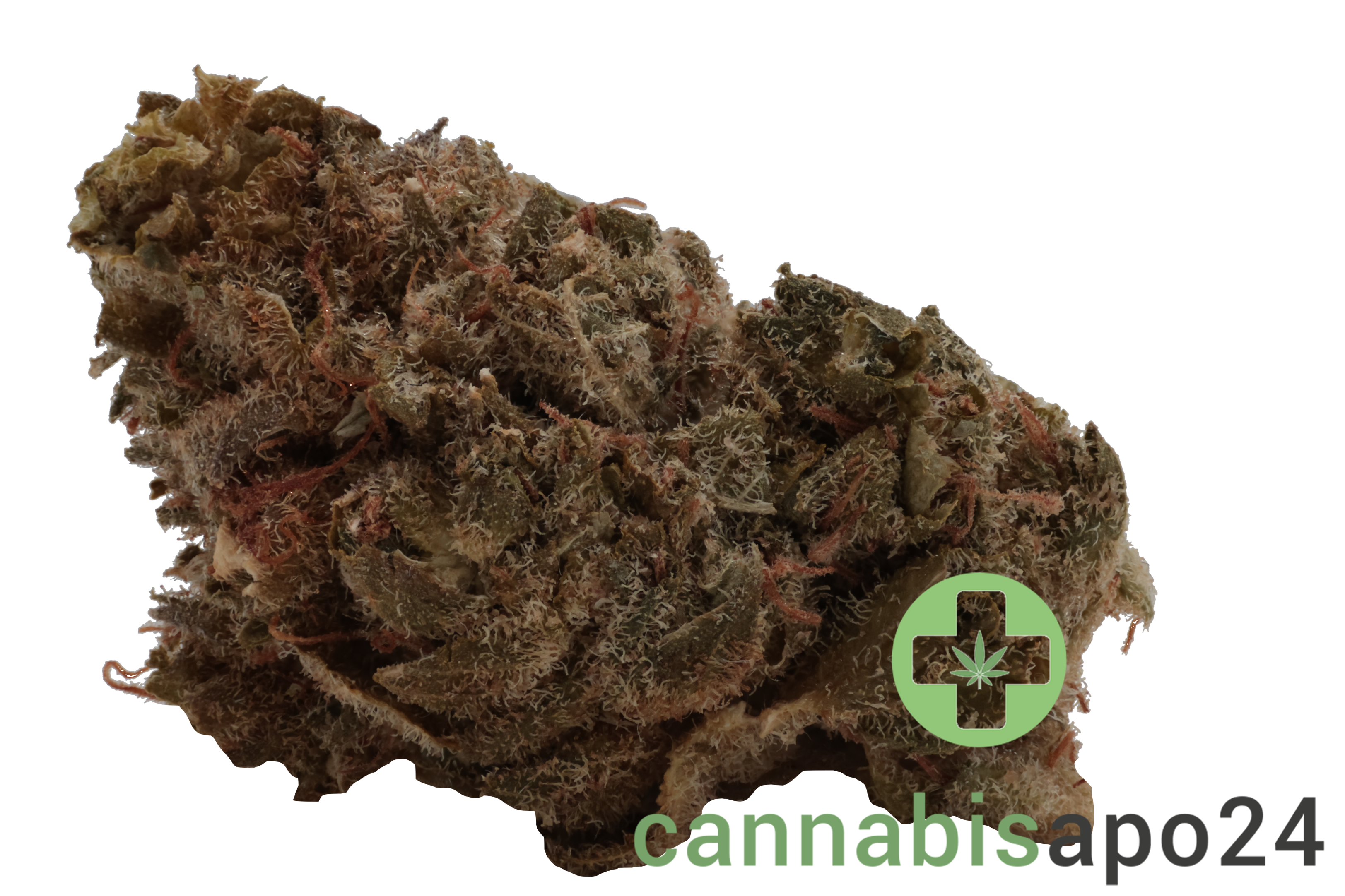 420 Sungrown 20/1 CA ZRP Zour Apple