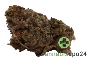 420 Sungrown 20/1 CA ZRP Zour Apple