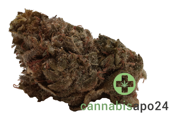 420 Sungrown 20/1 CA ZRP Zour Apple