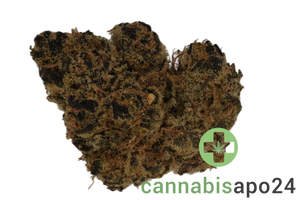 AMP ACT-GM TCG THC20 Trop Cherry Gas