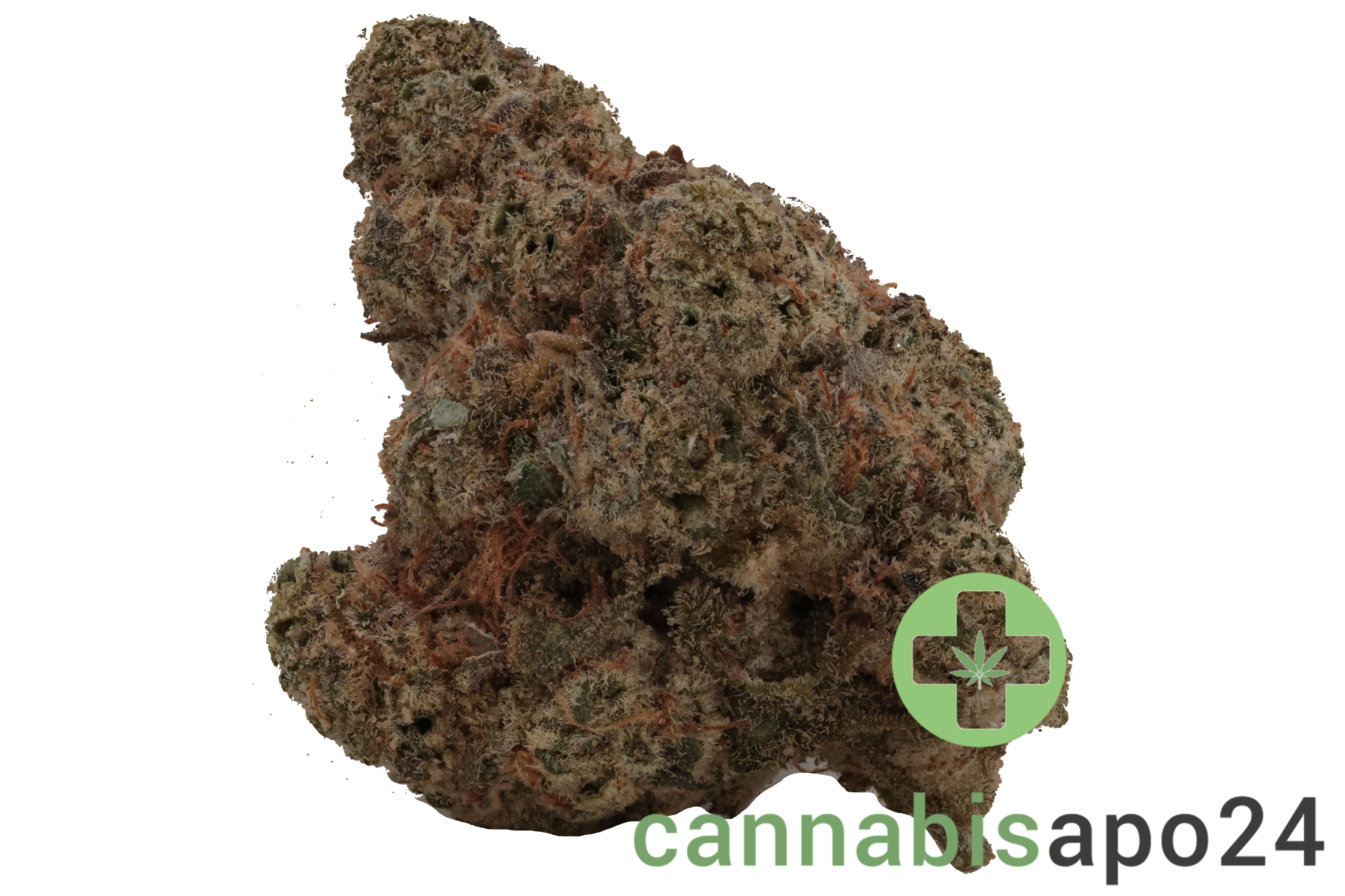 AVAAY 29/1 SCP Sour Cherry Punch