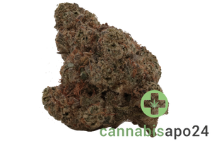 AVAAY 29/1 SCP Sour Cherry Punch