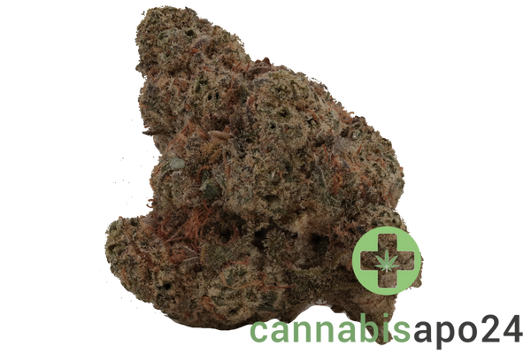 AVAAY 29/1 SCP Sour Cherry Punch