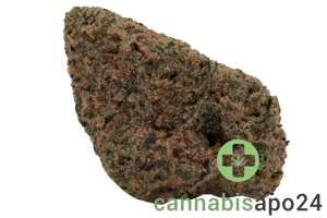 AVAAY 34/1 MIM - Midnight Mimosa