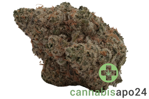 AVAAY 34/1 SCP Sour Cherry Punch