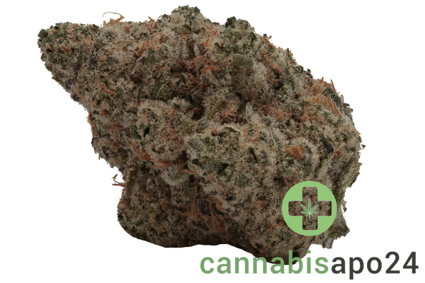 AVAAY 34/1 SCP Sour Cherry Punch