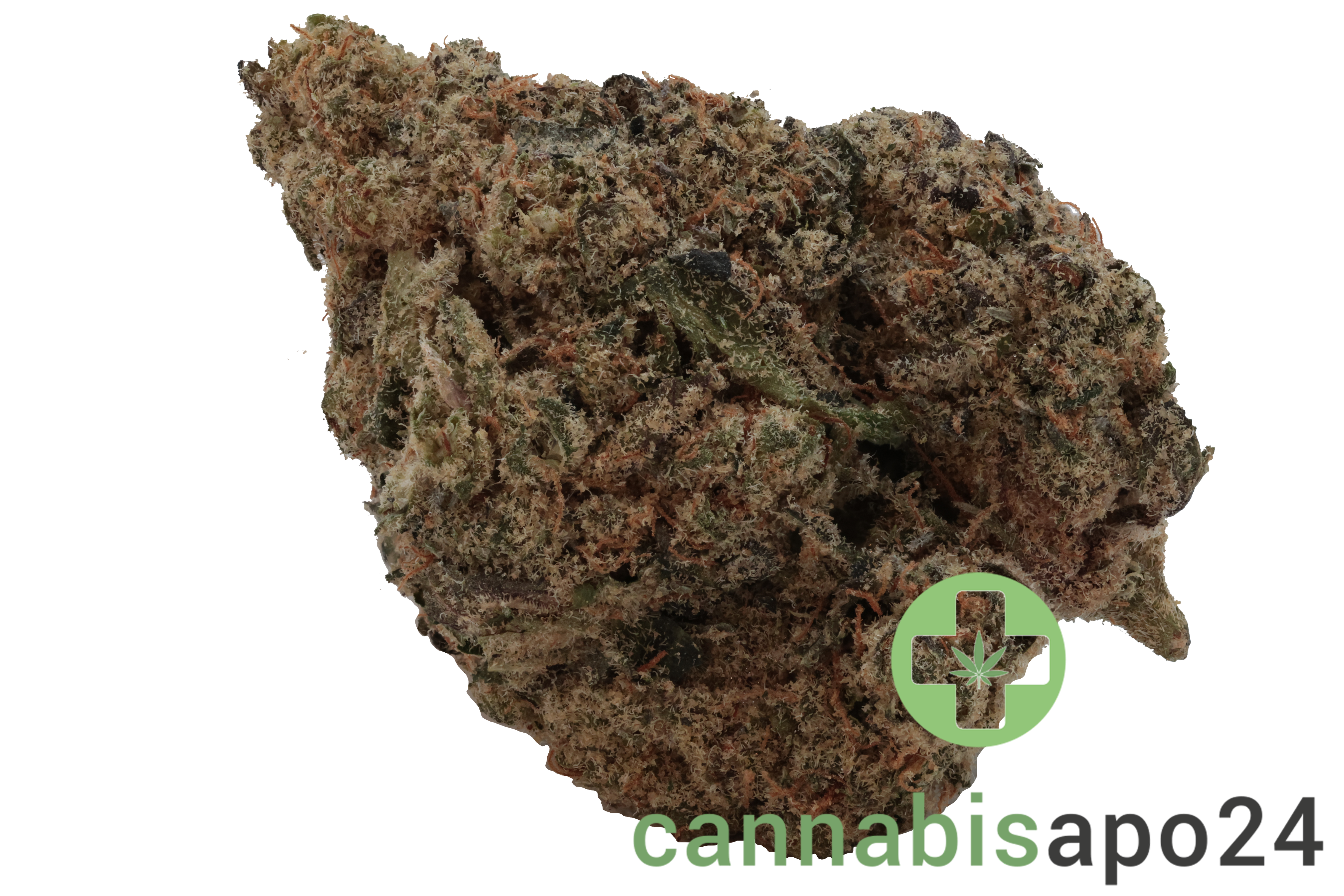 AVAAY Signature 25/1 HYP - Hyperion