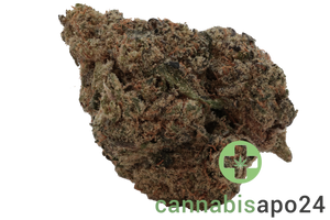 AVAAY Signature 25/1 HYP - Hyperion