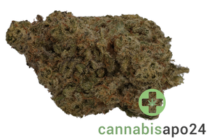 All Nations DK 27/1 Diamond Kush