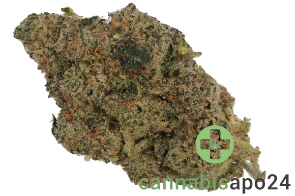 Apex PEP-CA 30 Cake Pebblez