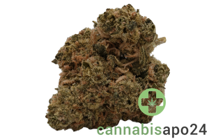 AVAAY 16/1 BBH - Blueberry Haze