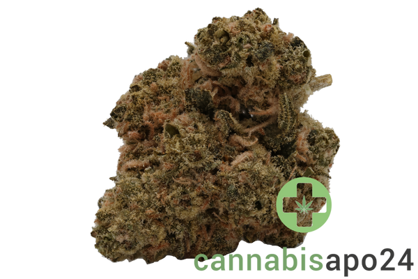 AVAAY 16/1 BBH - Blueberry Haze