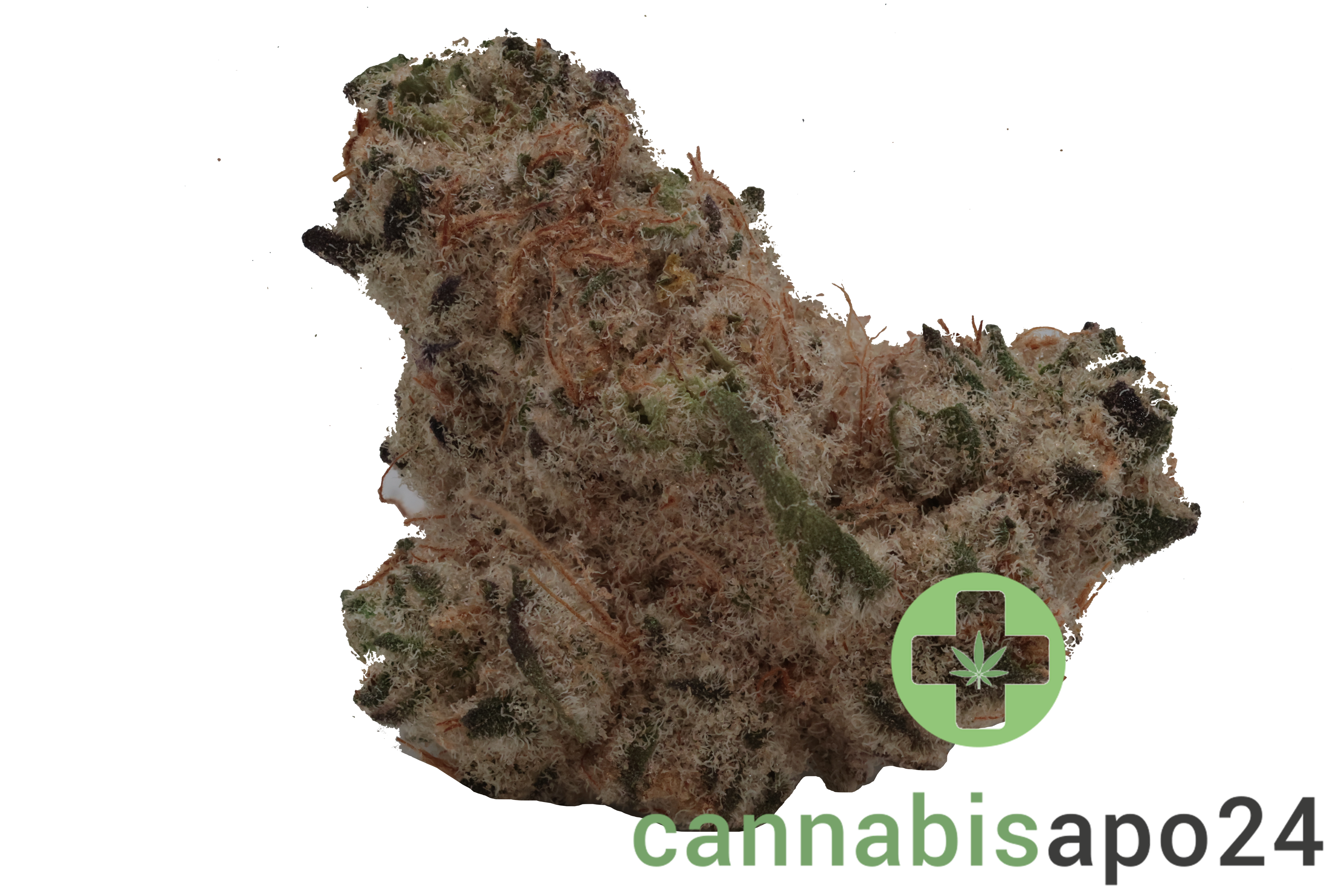Barongo 26/1 BM Kandi Klouds Kush
