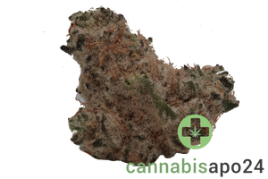 Barongo 26/1 BM Kandi Klouds Kush