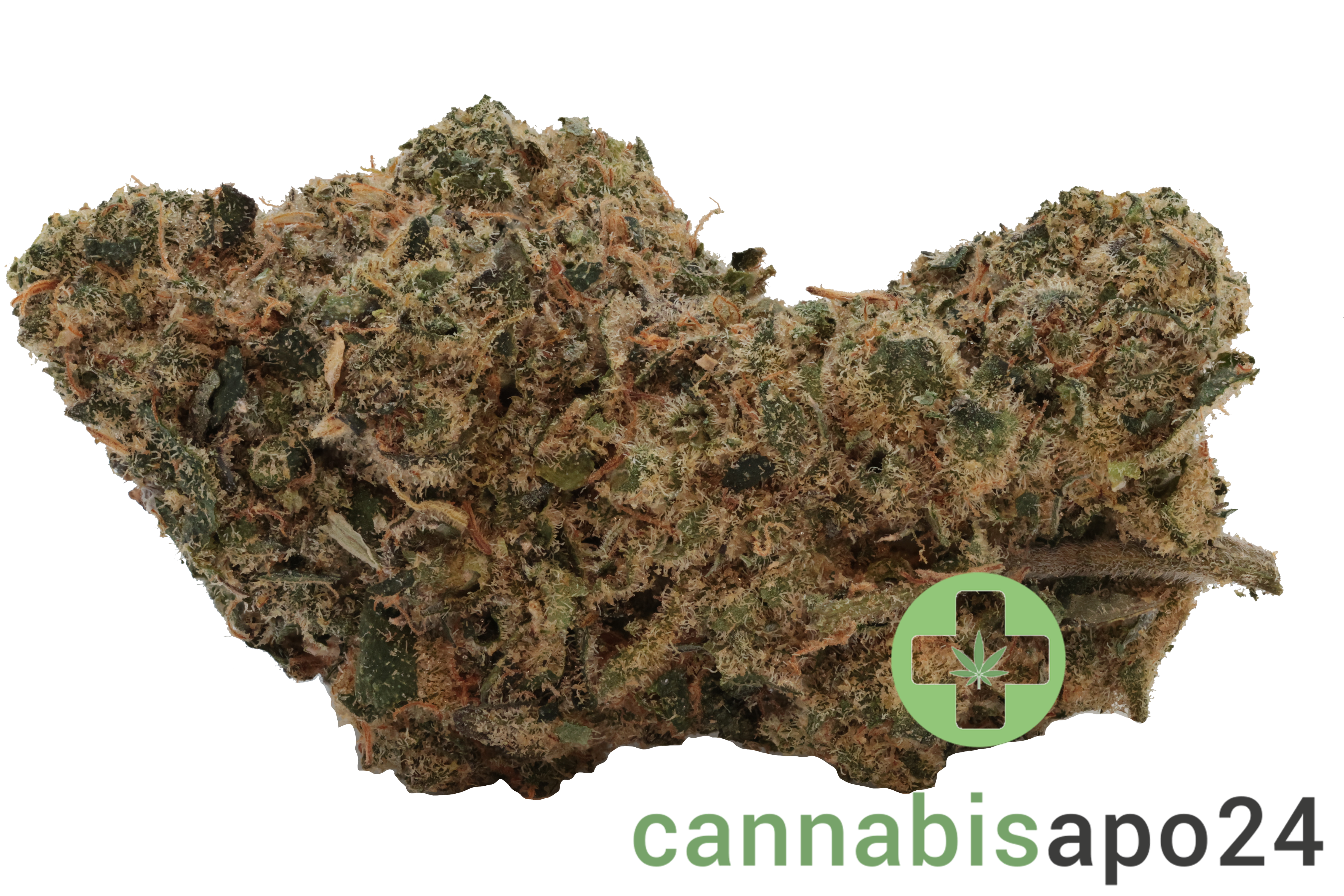 Bathera 22/1 Permanent Marker