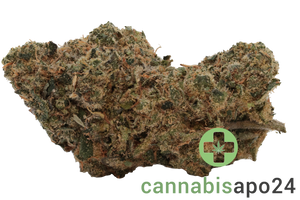 Bathera 22/1 Permanent Marker