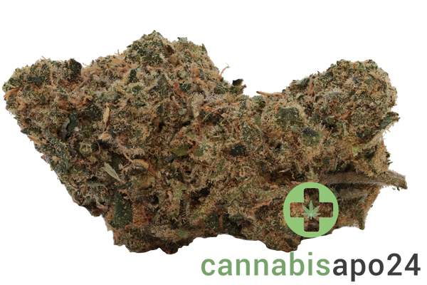 Bathera 22/1 Permanent Marker