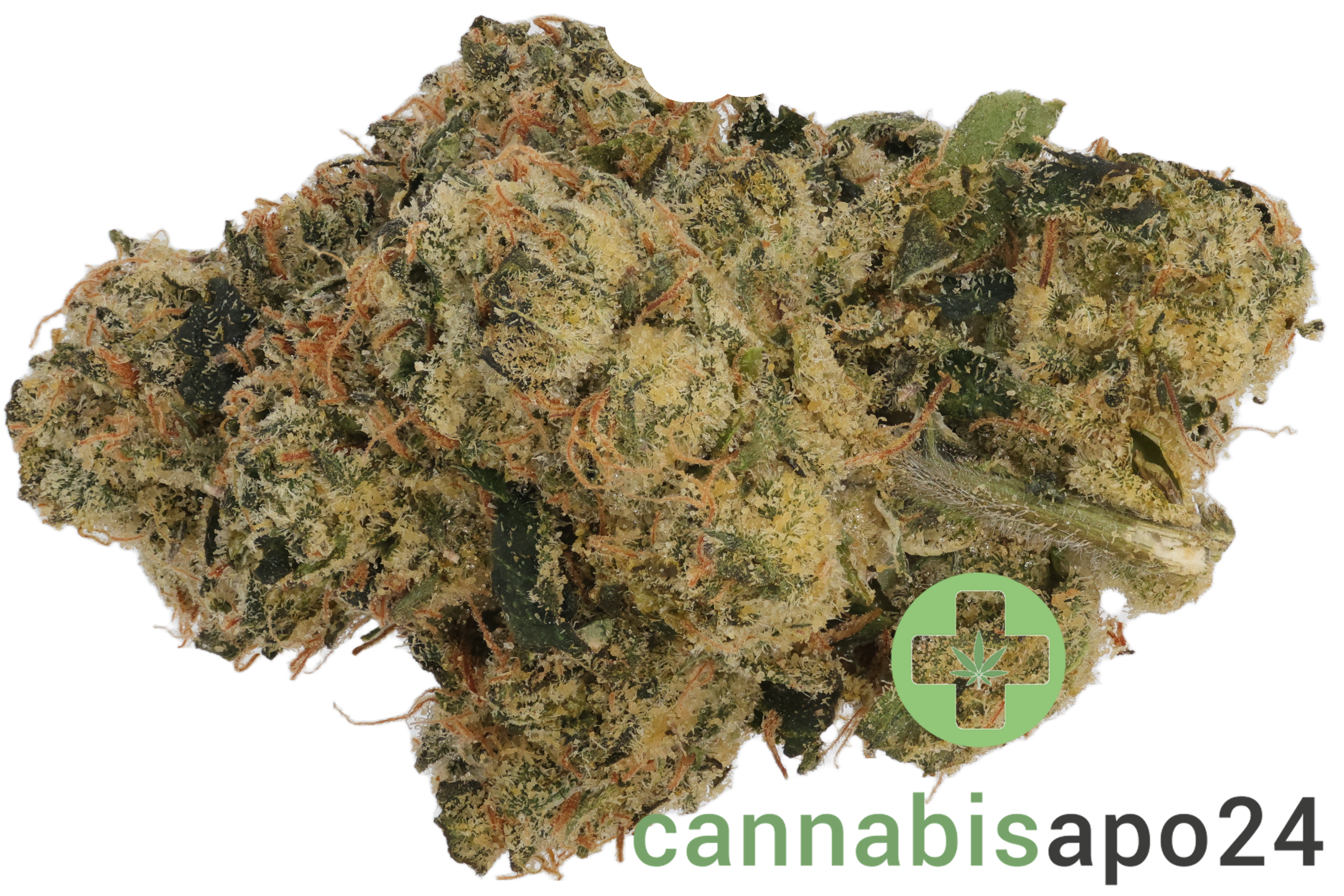 Bathera 33/1 LCG Lemon Cherry Gelato