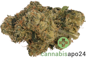 Bathera 33/1 LCG Lemon Cherry Gelato