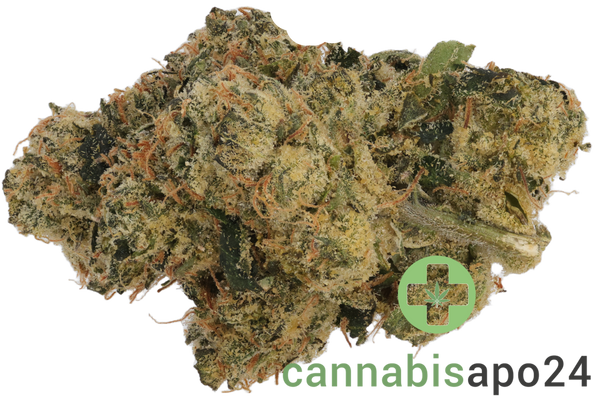 Bathera 33/1 LCG Lemon Cherry Gelato