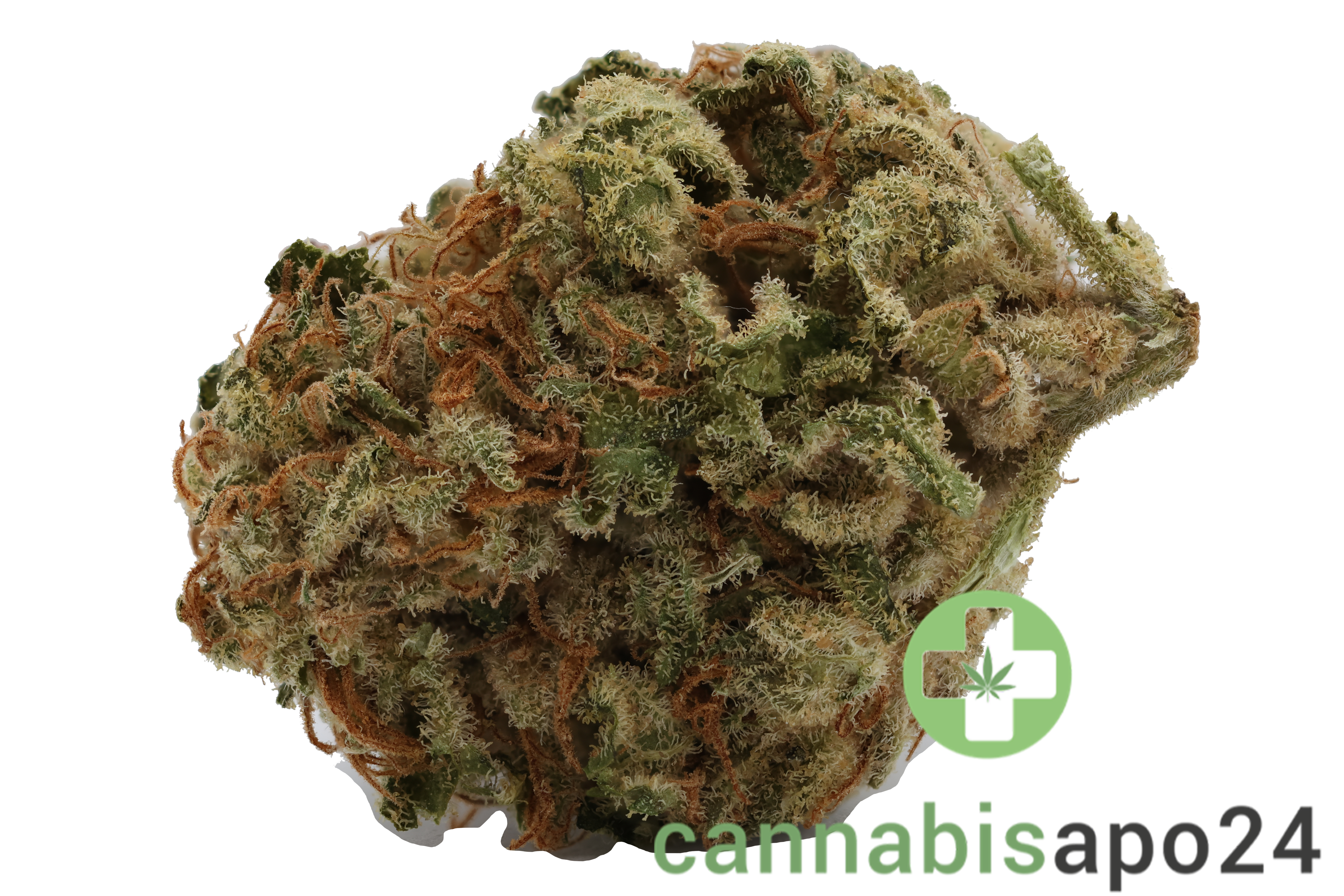 Beacon I-Hybrid THC22 Wappa