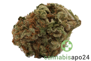 Beacon I-Hybrid THC22 Wappa