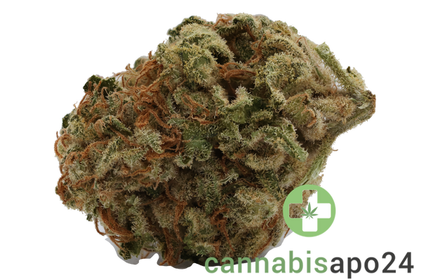 Beacon I-Hybrid THC22 Wappa